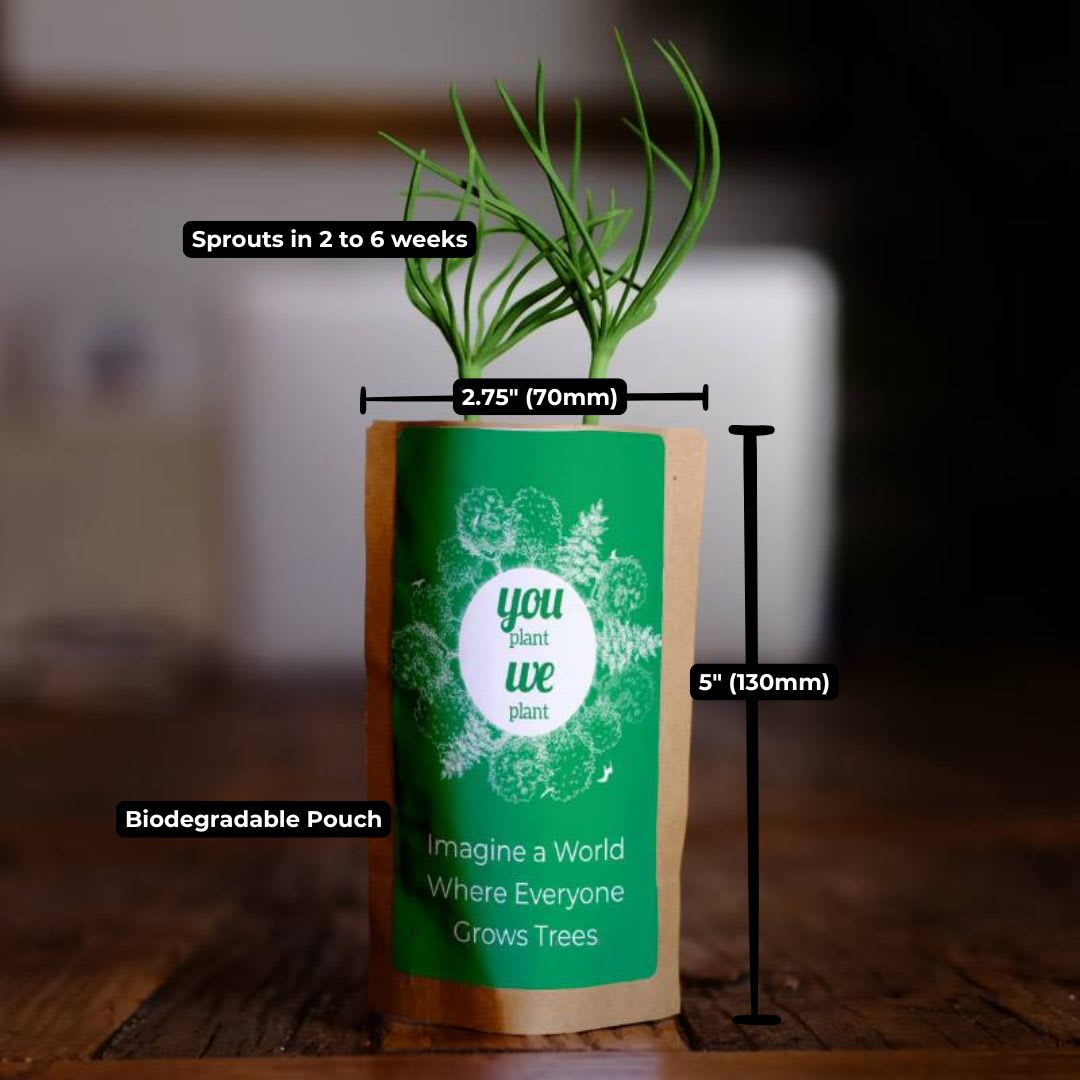 Earth Day Tree Pouch