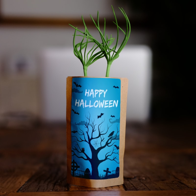 Happy Halloween Night