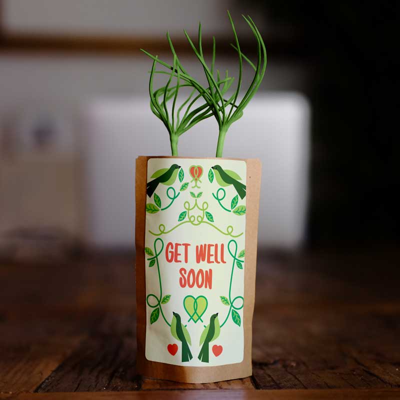 Get Well Soon Encouragement
