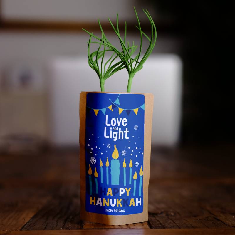 Happy Hanukkah Love and Lights