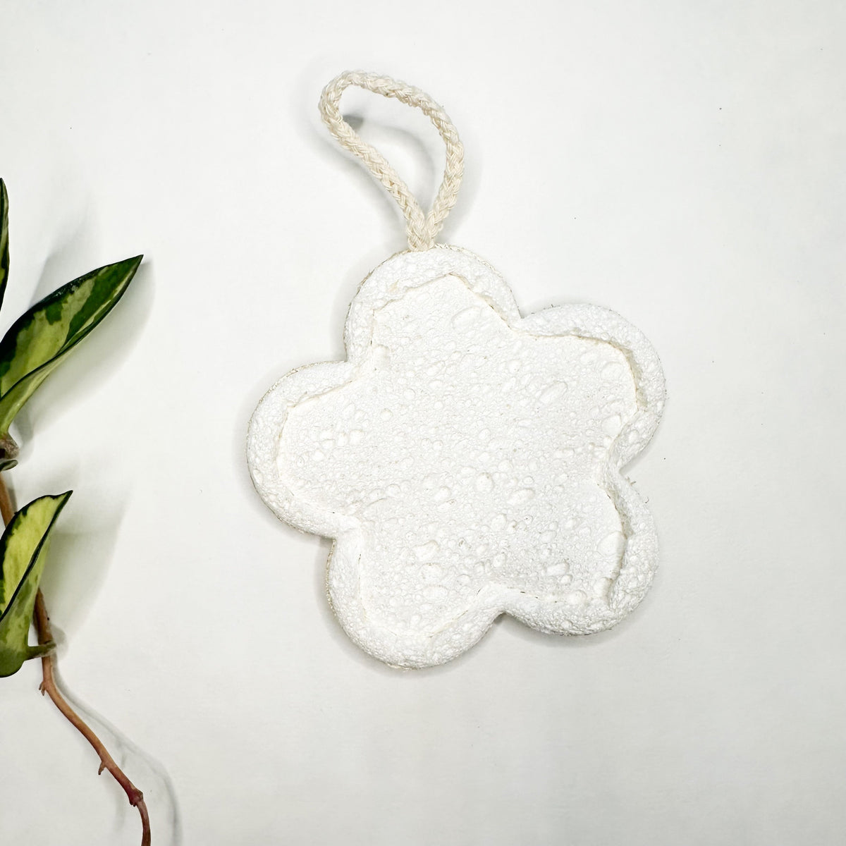 Natural Loofah & Cellulose Sponge – Gentle & Effective Cleaning